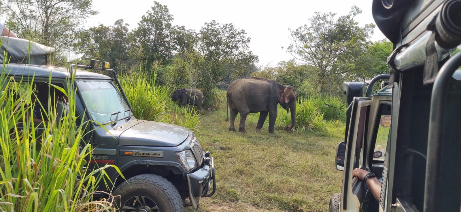 409176042_10161139660439738_8973341737205523633_n